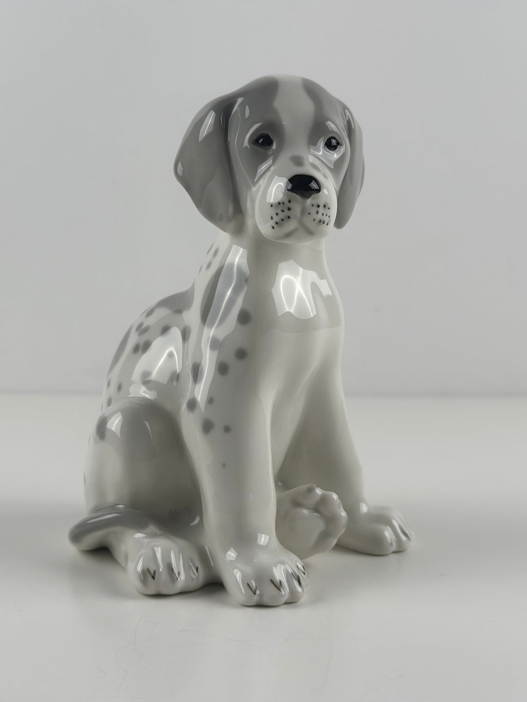 Lomonosov –  posliinikoira