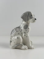 Lomonosov –  posliinikoira