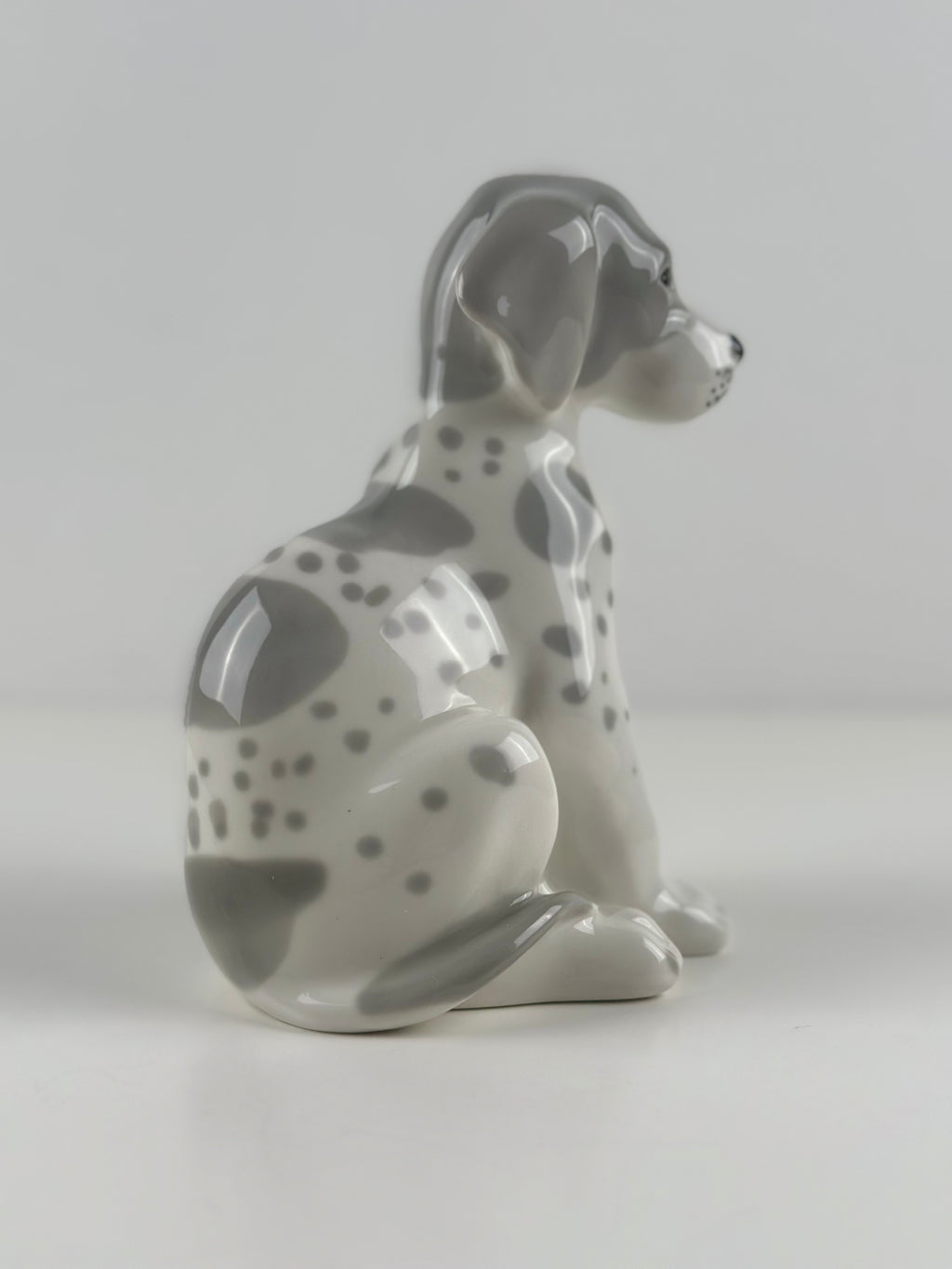 Lomonosov –  posliinikoira