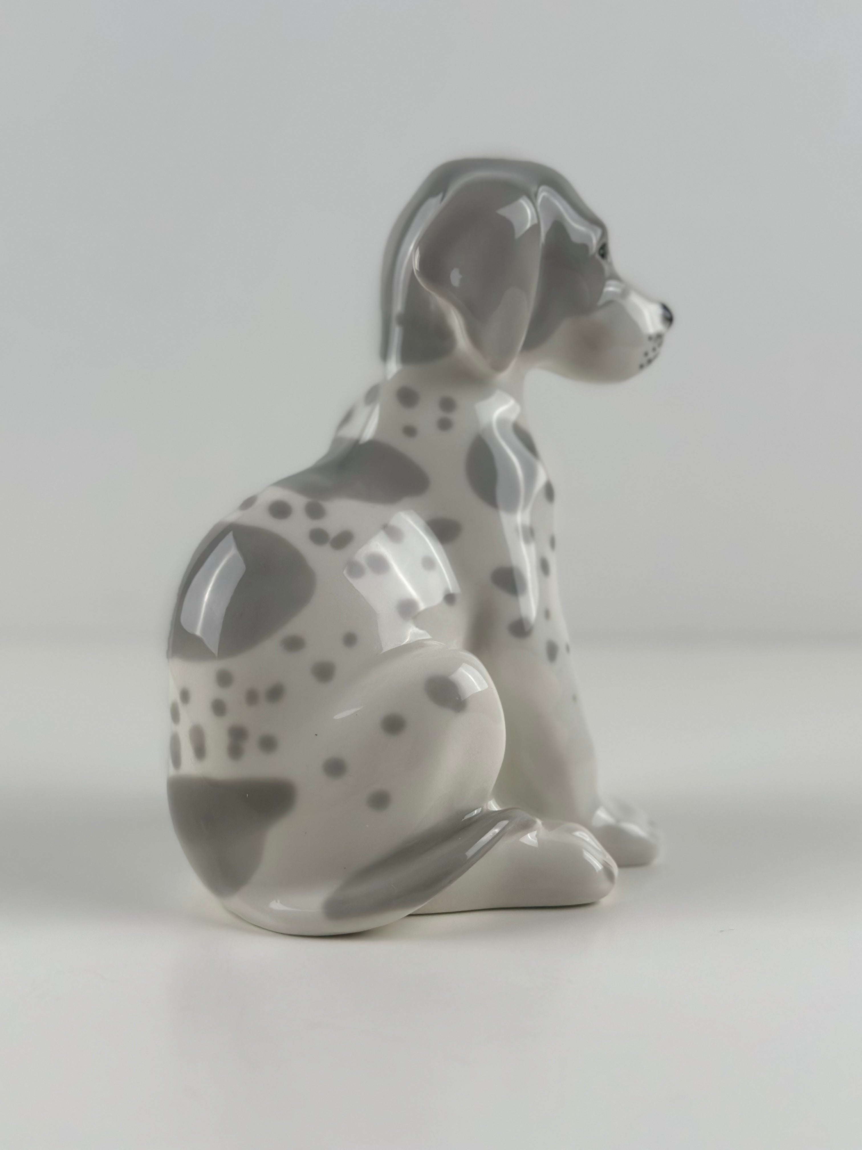 Lomonosov –  posliinikoira