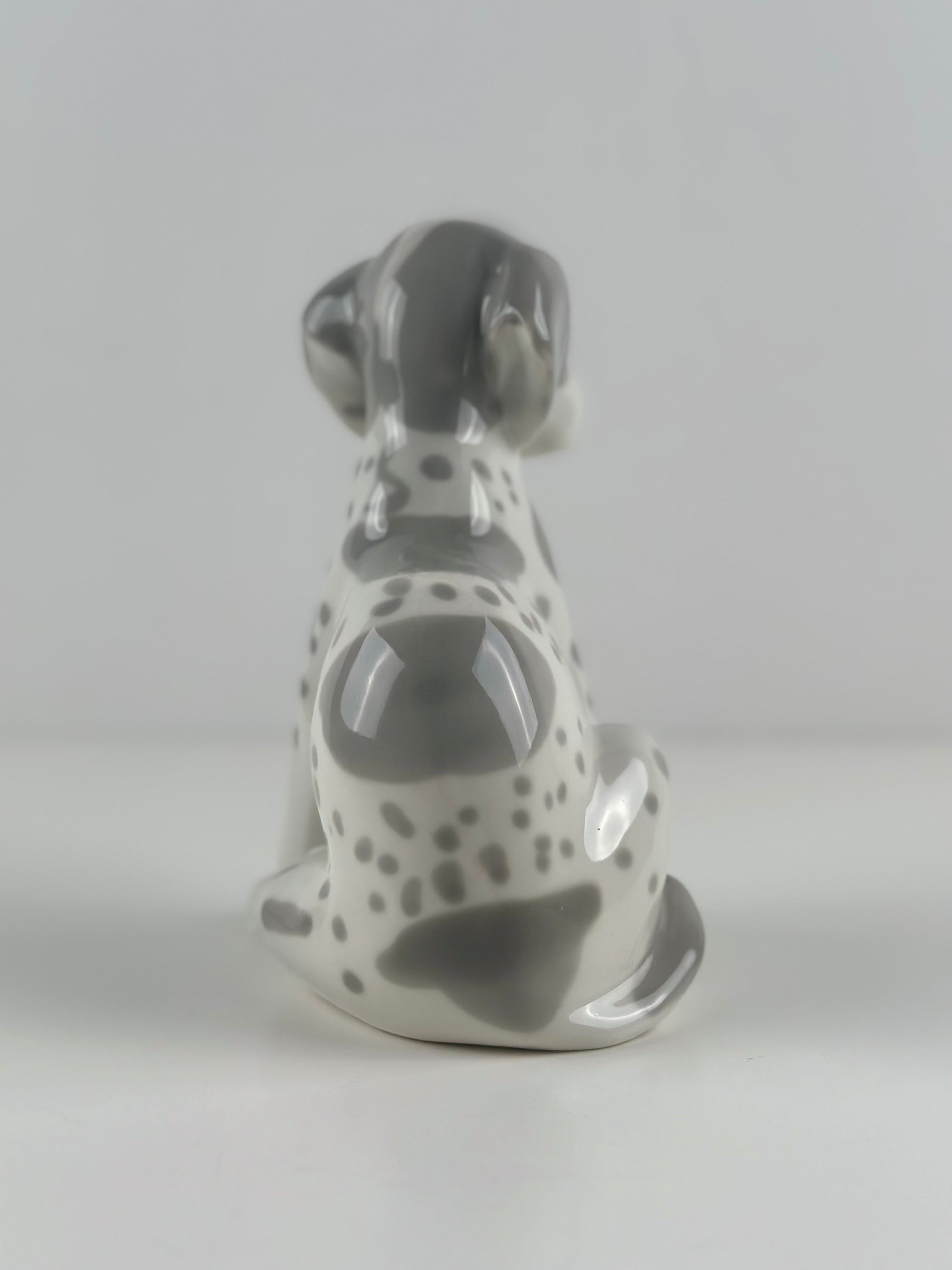 Lomonosov –  posliinikoira