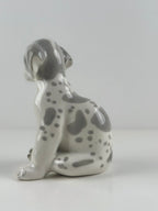 Lomonosov –  posliinikoira