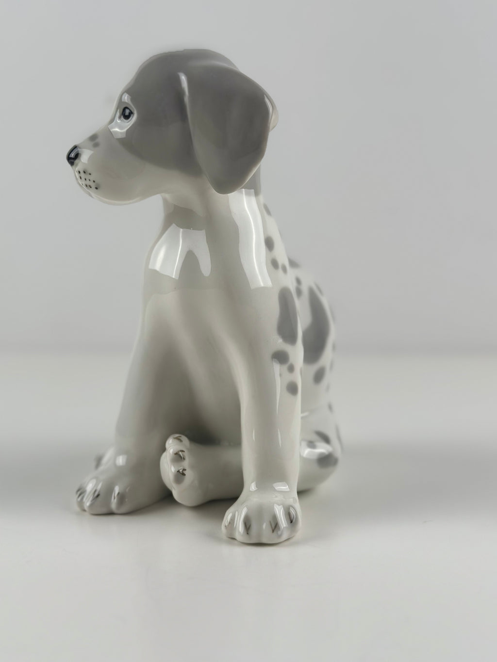 Lomonosov –  posliinikoira