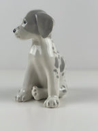 Lomonosov –  posliinikoira