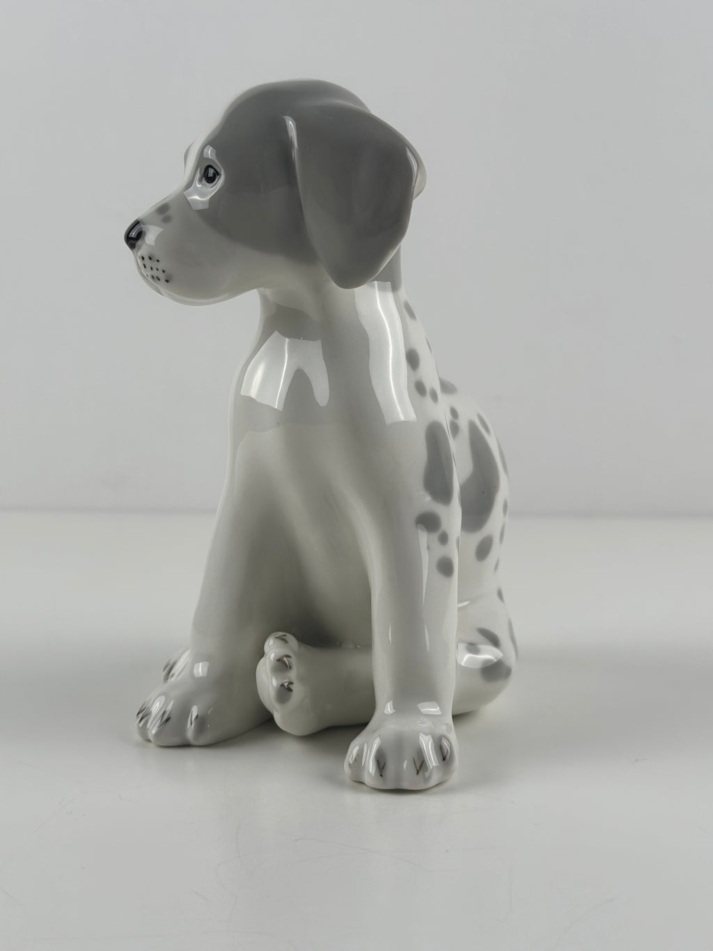 Lomonosov –  posliinikoira