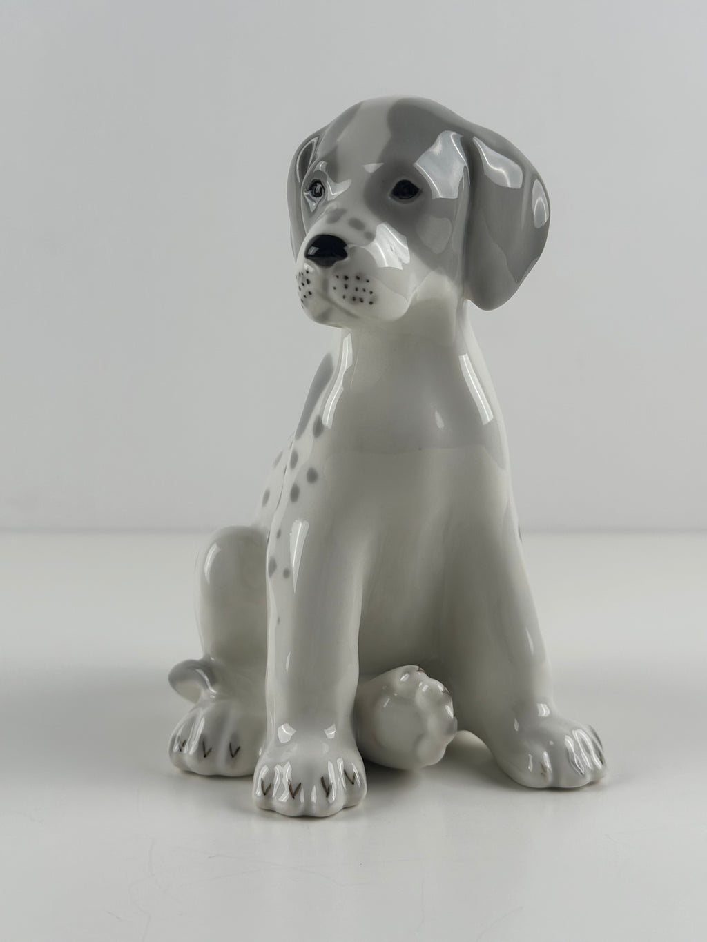 Lomonosov –  posliinikoira