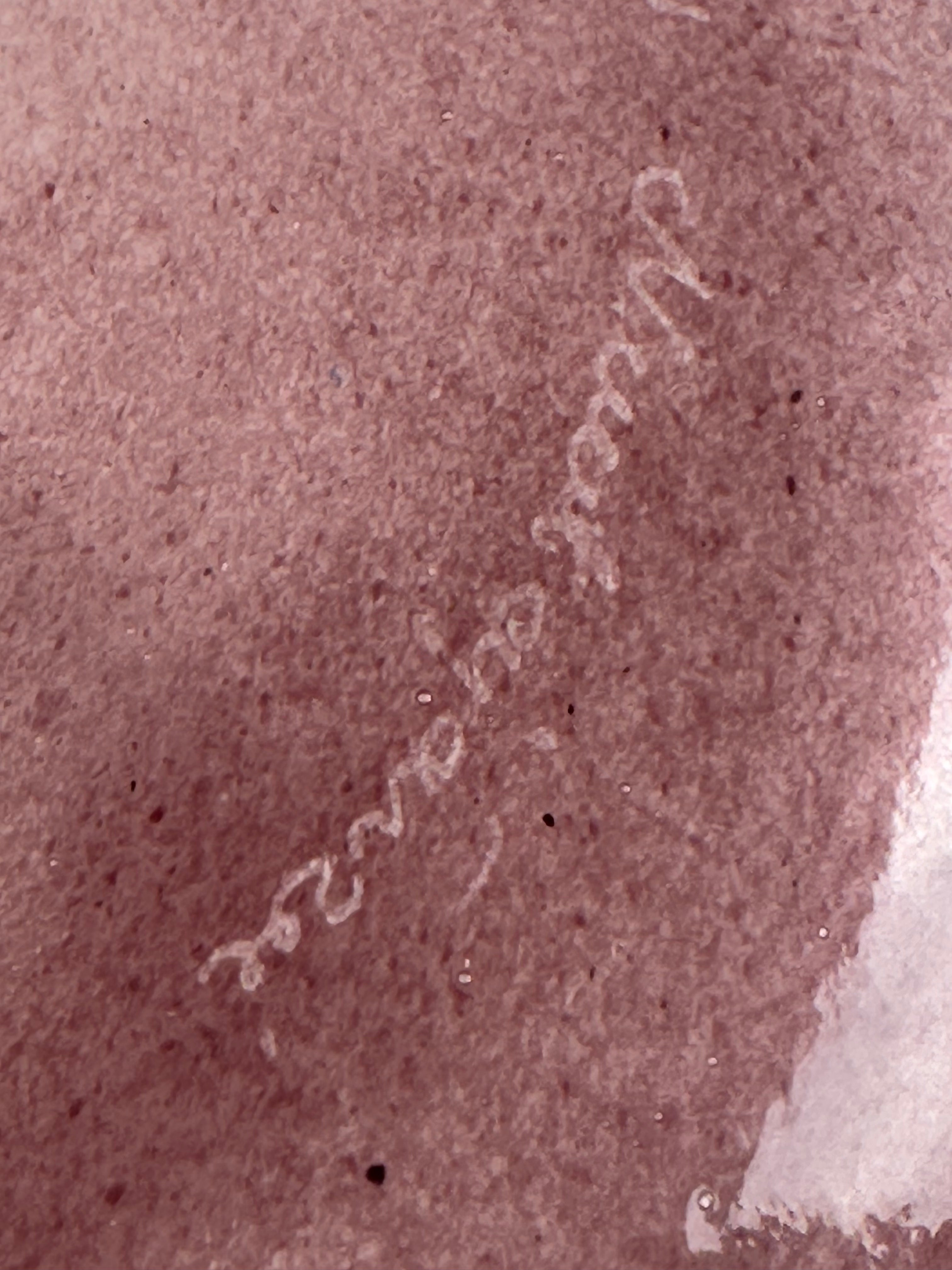 Signeerattu studiolasityö – Nuutajärvi 13.12.2001