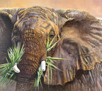 Tembo – Elefantti | Danielle Beck | suuri kehystetty taidevedos