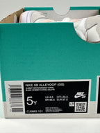 Nike SB Alleyoop (GS) – tyylikkäät ja siistit skeittikengät